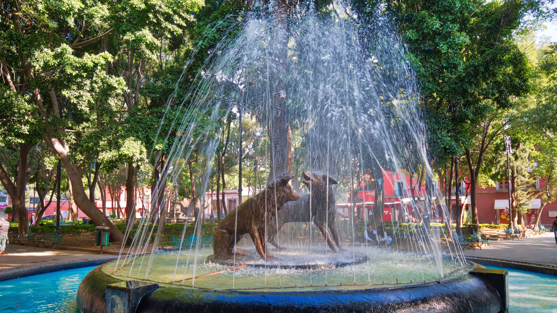 COYOACAN