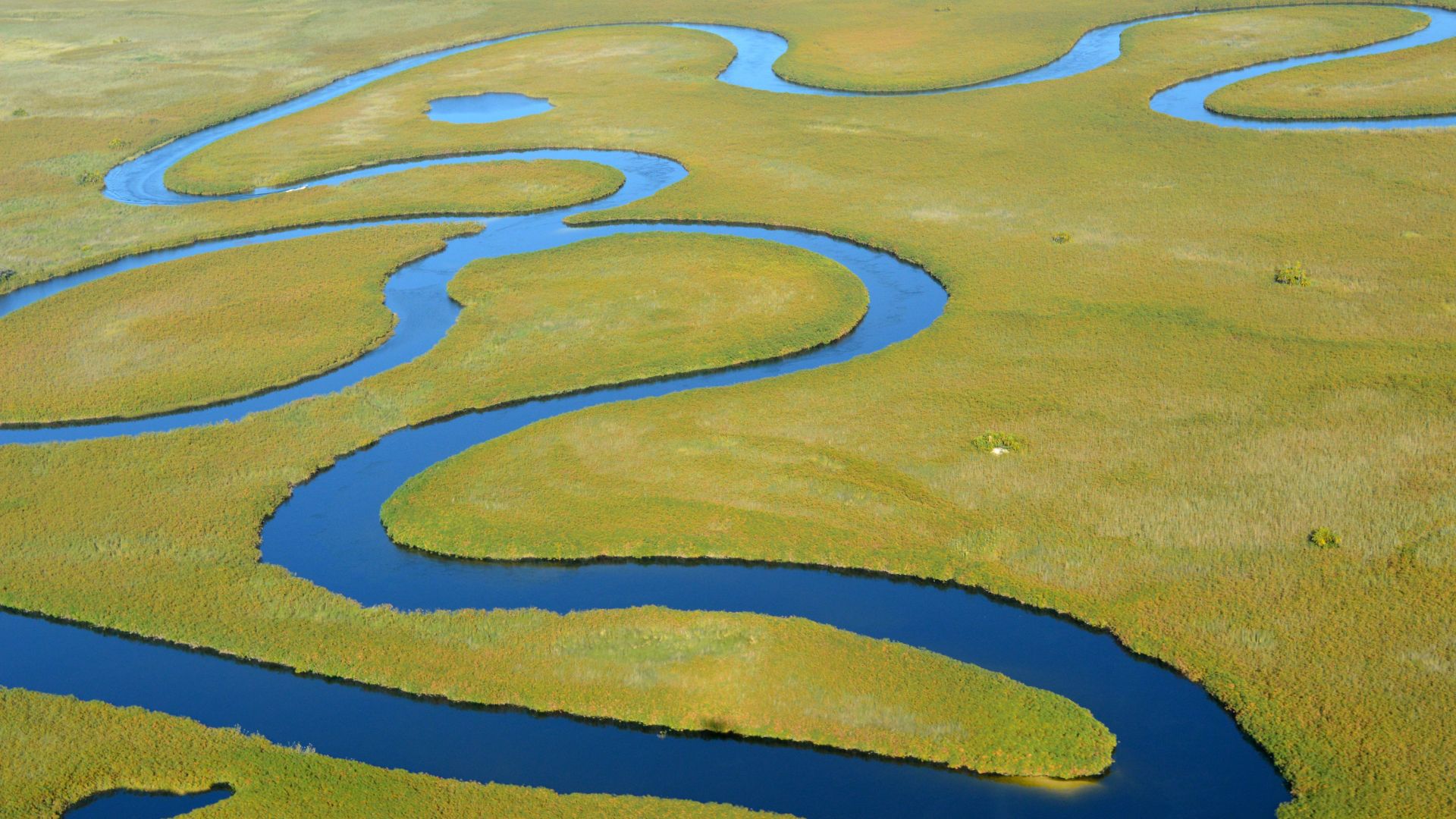 DELTA DEL OKAVANGO