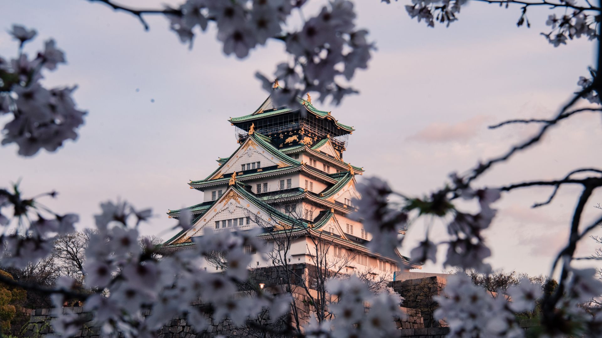 Día 1º (Martes) OSAKA