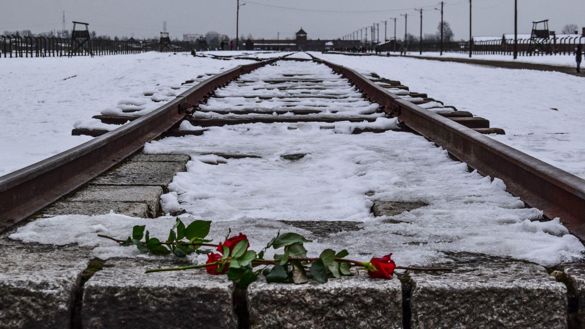 AUSCHWITZ