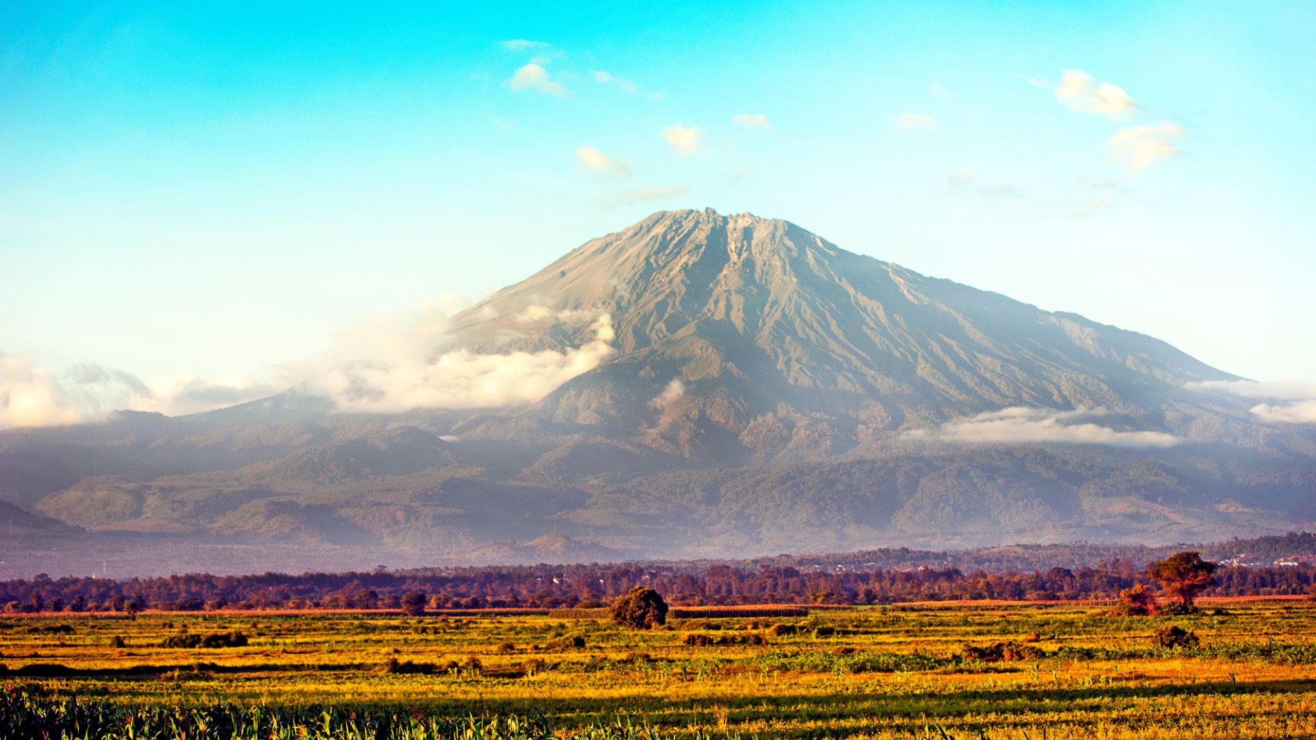 TANZANIA NGORONGORO